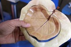 Lá tra xuất ngoại mang về tiền tỷ