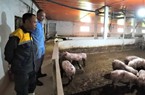 Tỷ phú nuôi lợn 5 lần 7 lượt suýt phá sản ở Hải Dương là Nông dân Việt Nam xuất sắc 2023