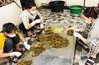 Cả làng ở Nghệ An khá giả hẳn lên nhờ một con đặc sản, món ngon này còn "cưỡi" máy bay đi chợ quốc tế