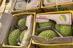 Xuất khẩu rau quả sẽ lập kỳ tích mới trong năm 2023