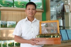 Từ chợ tạm, đặc sản Thái Nguyên bán đi khắp nước, một ông Giám đốc là Nông dân Việt Nam xuất sắc
