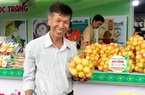 Chuyện lạ Sóc Trăng, trồng chanh ngọt trông như trái xoài, chủ vườn là Nông dân Việt Nam xuất sắc 2023