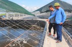 Tỷ phú nuôi tôm công nghệ cao, nuôi con vạng ở Nam Định là Nông dân xuất sắc 2023