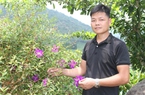 Trai người Tày làm du lịch cộng đồng ở Thái Nguyên, tạo vô số việc làm cho dân quanh vùng