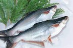 Không chỉ sầu riêng, xuất khẩu cá tra cũng phải dựa vào thị trường Trung Quốc