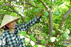 Kiểm soát côn trùng gây hại, nâng cao năng suất cây trồng.