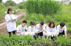 Một ngành học đang rất "khát" nhân lực, sinh viên ra trường có việc làm, lương cao 15 - 20 triệu/tháng