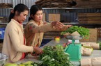 Làm nông nghiệp hữu cơ, tuần hoàn đừng chộp giật, nửa vời, vật nuôi hữu cơ cũng cần được tôn trọng