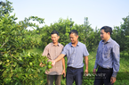 Hội Nông dân Quảng Ninh nâng cao hiệu quả tiếp công dân, giải quyết khiếu nại tố cáo