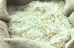Ấn Độ có thể áp dụng giá sàn đối với gạo basmati xuất khẩu