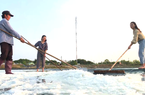 Đến một đảo của TP Hồ Chí Minh thấy nông dân tất bật làm du lịch xung quanh là nước biển