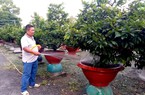 Nhiều quy định cấp thiết để được xét công nhận nghề truyền thống, làng nghề và làng nghề truyền thống