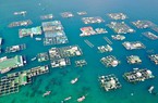 Ứng dụng công nghệ cao, xây dựng “cỗ máy” nuôi cá trên biển  