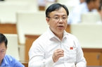 Đại biểu Quốc hội lo doanh nghiệp mua hết đất nông nghiệp, đất rừng để xây nhà ở thương mại