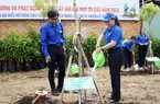 Huyện Nhà Bè trồng thêm nhiều loại cây có sức sống mãnh liệt, tăng cường mỹ quan đô thị 