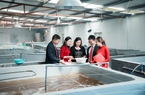 Agribank cùng ngành Ngân hàng tăng cường sức hấp thụ vốn cho doanh nghiệp