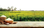 Cổ phiếu nông nghiệp 'ăn chắc mặc bền'