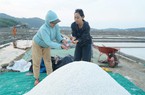 Cô gái khởi nghiệp sản xuất hoa muối tại Việt Nam, làm du lịch giữ đồng muối Sa Huỳnh truyền thống