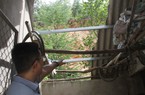 Núi nứt dọa sập, hàng trăm hộ dân ở Nghệ An sống trong vùng nguy hiểm nguy cơ sạt lở