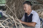 Huyện Hóc Môn vượt chỉ tiêu đào tạo nghề lao động nông thôn