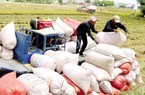 Giá gạo tăng quá nhanh, VFA kiến nghị Thủ tướng bổ sung cơ chế quy định giá sàn xuất khẩu gạo