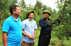 Bí thư Huyện ủy Nông Việt Yên và câu chuyện đánh thức "người đẹp Mù Cang Chải"