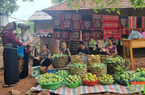 Đẩy mạnh tuyên truyền phát triển kinh tế - xã hội vùng đồng bào dân tộc thiểu số và miền núi