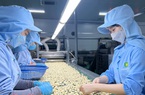 Việt Nam đang là nguồn cung lớn nhất một loại hạt cho Mỹ, 7 tháng đã thu 1 tỷ USD