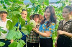 Nông dân Hà Tĩnh sản xuất kịp thời vụ, được nợ tiền mua phân bón nhờ một chính sách đặc biệt