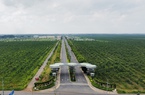 Đồng Nai: Vì sao chủ đầu tư dự án Gem Sky World bị kiến nghị xử phạt 900 triệu đồng?