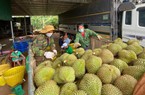Sức mua của Trung Quốc tăng tới 134%, Việt Nam dự kiến thu 5 tỷ USD nhờ bán sầu riêng, thanh long, chuối
