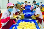 Xuất khẩu rau quả 8 tháng sang Trung Quốc đạt 2,26 tỷ USD, sầu riêng đóng góp gần 1,3 tỷ USD
