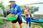 Đầm nước nổi tiếng ở Bình Định, dân đang ra cào bắt một loài nhuyễn thể, hễ bê lên bờ là bán hết sạch