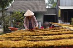 Thu hút khoảng 5 triệu lao động, giá trị xuất khẩu các mặt hàng ngành nghề nông thôn đạt trên 6 tỷ USD/năm vào 2030