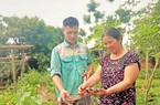 Nuôi con vật bơi, bò dưới ao bằng mồm, đẻ sòn sòn, trai làng Bắc Giang lãi cả trăm triệu
