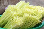 Loại rau mọc tua tủa, trước dùng để chống đói, giờ là đặc sản được săn lùng, biết giá ai cũng hỏi mua