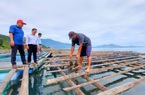 Chủ tịch UBND tỉnh TT-Huế khen thưởng 5 tập thể, 10 cá nhân xuất sắc trong công tác Hội Nông dân