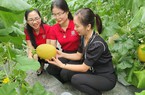 Về xứ Tuyên, theo chân dòng vốn ngân hàng