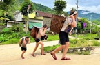 Bẻ một thứ măng ở Nghệ An, ra khỏi rừng thương lái gom hết sạch, tiền trao tay, ai cũng thích