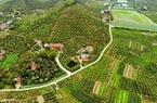 Một xã NTM nâng cao ở Bắc Giang có thu nhập bình quân đầu người đạt gần 60 triệu đồng/năm