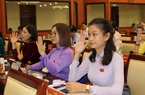 TP.HCM chuyển mục đích sử dụng đất trồng lúa dưới 500ha