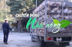 Chuyển động Nhà nông 19/9: Bộ Nông nghiệp đề nghị C05 lập chuyên án, xử lý nạn buôn bán gia cầm trái phép