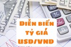 Giá USD đã “leo đỉnh” như thế nào từ đầu năm tới nay?