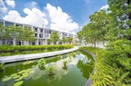 Phải tìm những nơi "đất có thóc để chim ăn”
