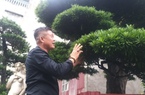 Trồng cây cảnh nghệ thuật đang hot, một Nông dân Việt Nam xuất sắc đến từ Hưng Yên thu 45 tỷ/năm