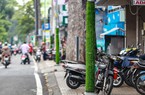 TP.HCM: Việc gắn thảm cỏ cột đèn chỉ là giải pháp trước mắt trong khi chờ giải pháp căn cơ