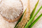 Gạo ST25 được hỗ trợ để cạnh tranh tốt hơn với dòng gạo Hom Mali của Thái Lan