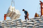 Thị trường lúa gạo khởi sắc nhưng chi phí tài chính lại đè nặng lên loạt doanh nghiệp ngành gạo