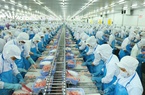 Cổ phiếu tiêu điểm hôm nay (22/9): Nắm giữ cổ phiếu VHC của "nữ hoàng cá tra" Vĩnh Hoàn 