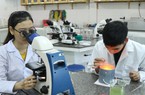 Tự quyết kiểm định chương trình đào tạo: Vừa đá bóng, vừa thổi còi?